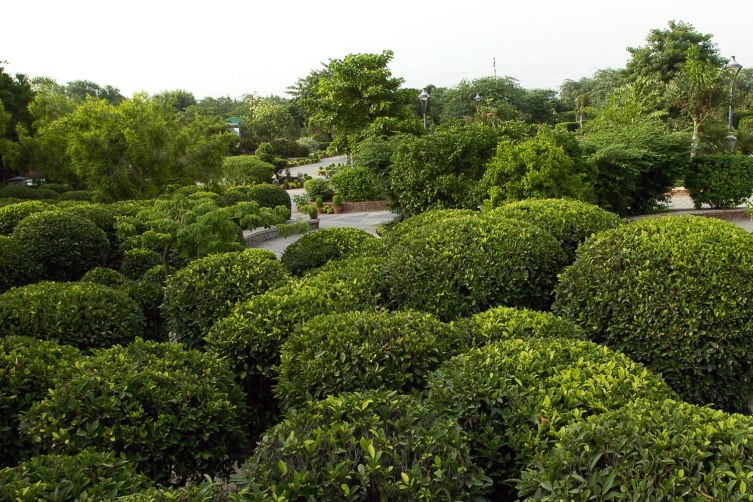 the-garden-of-five-senses-a-guide-to-new-delhi-10-things-to-do